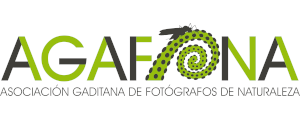  Asociación Gaditana de Fotógrafos de Naturaleza