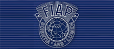 FIAP University